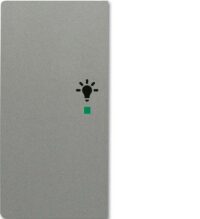 Busch-Jaeger Tastwippe free@home grau glänzend 6231-21-803 Kunststoff Thermopl 2-fach