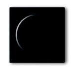 Busch-Jaeger Drehknopf Symbol Dimmer glänzend 6540-81-102-510 anthrazit