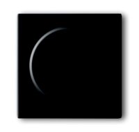 Busch-Jaeger Drehknopf Symbol Dimmer glänzend 6540-81-102-510 anthrazit