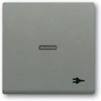 Busch-Jaeger Kontrollwippe Schalter grau 1789 ST-803 metallic diverse Symbole