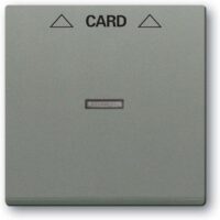 Busch-Jaeger Zentralplatte Schalter grau 1792-803 metallic