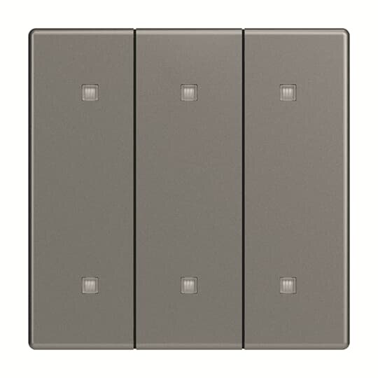 Busch-Jaeger Busch-Jaeger Wippe 3-teilig Schalter grau glänzend 2570-30-803