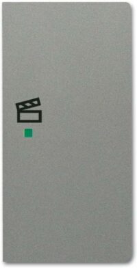 Busch-Jaeger Tastwippe grau glänzend Kunststoff 1-fach 6233-22-803 Thermopl