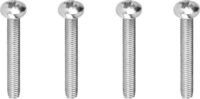 Viega Schraubenset 8580.72 in M4 x 30 mm