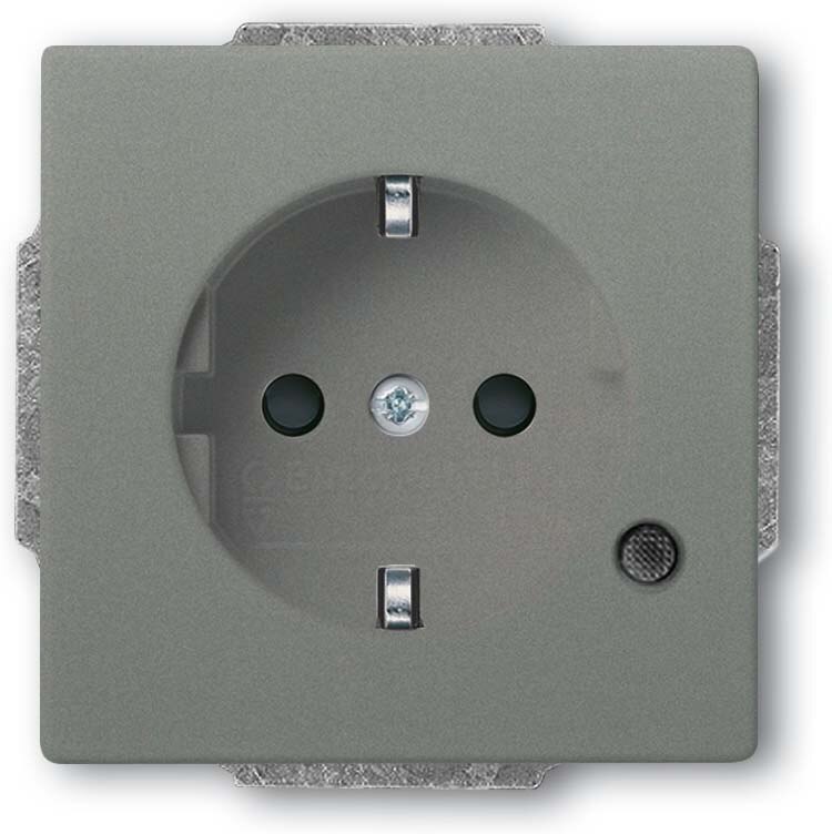 Busch-Jaeger Busch-Jaeger Steckdose 1-fach grau metallic Unterputz solo 20 EUCBL-803 mit BS IP20