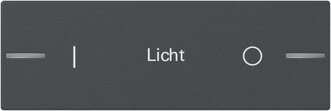 Gira Gira Tastwippe anthrazit Kunststoff Thermopl 3-fach 862328