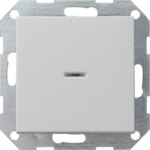Gira Kontroll-Wechselschalter Taster grau System 55 0136015 matt Unterputz IP20 1-fach