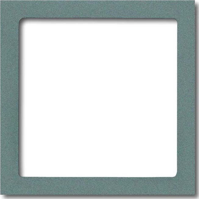 Busch-Jaeger Busch-Jaeger Zentralplatte Lichtsig 1-fach solo 1716-803 grau Schraubbefestigung
