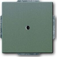Busch-Jaeger Zentralplatte Kabelausl grau solo 1749-803 Krallen/Schraubbefestigung