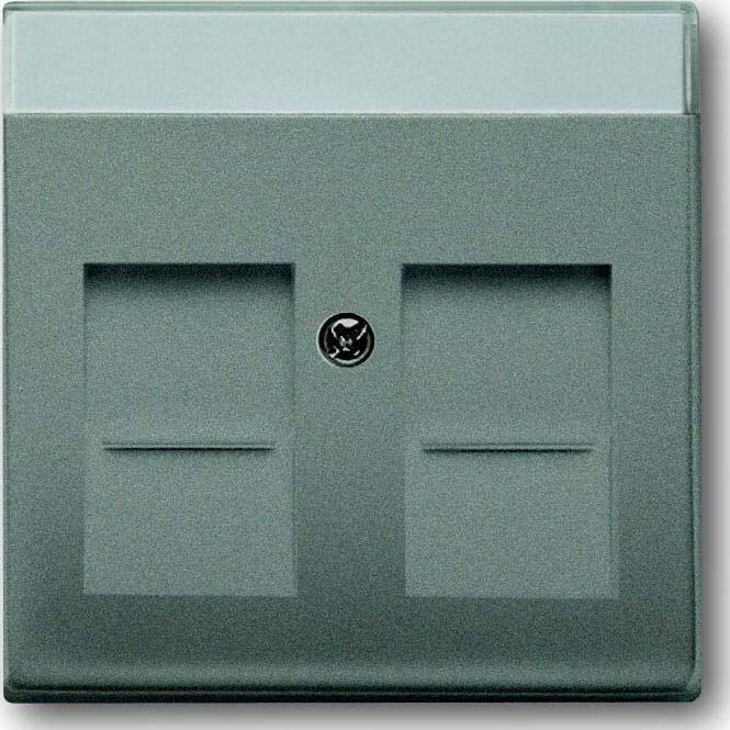 Busch-Jaeger Busch-Jaeger Zentralplatte Mod-Jack 2-fach solo 1800-803 grau Schraubbefestigung
