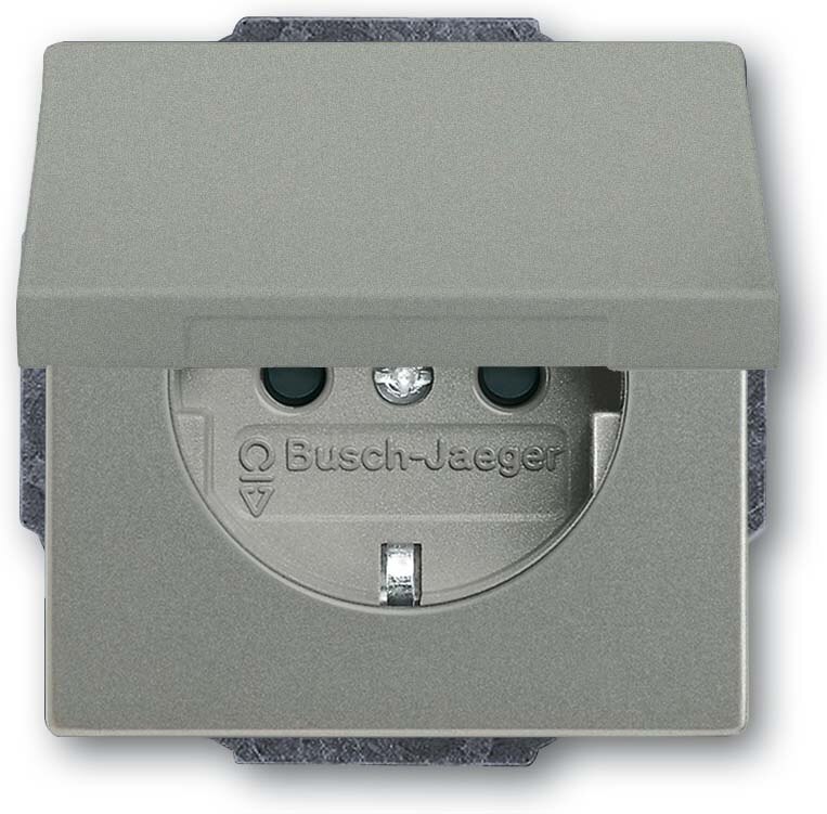 Busch-Jaeger Busch-Jaeger Steckdose 1-fach grau metallic Unterputz solo 20 EUKBR-803 Klappdeckel IP20