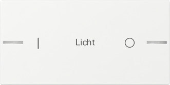 Gira Gira Tastwippe reinweiß glänzend Kunststoff Thermopl 2-fach 862203