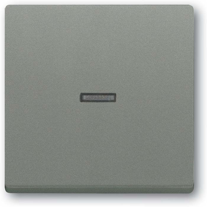 Busch-Jaeger Busch-Jaeger Kontrollwippe Schalter grau 1789 N-803 metallic