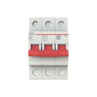 AEG Hauptschalter 100A 3-polig IP20 Wart/Rep ESD30100 Einb