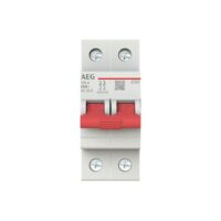 AEG Hauptschalter 100A 2-polig IP20 Wart/Rep ESD20100 Einb