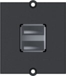 Bachmann Zentralplatte USB 2-fach schwarz 917.141 Schraubbefestigung