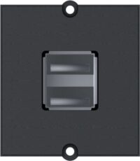 Bachmann Zentralplatte USB 2-fach schwarz 917.141 Schraubbefestigung