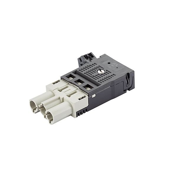Bachmann Bachmann Steckverbinder Gebäude Stecker 940.074 Schraub 3-polig 250V 16A 1,5-5qmm