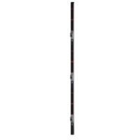 Bachmann Rack-Stromverteilung 1HE 36xC13 800.2410 6xC19 230V mit Display