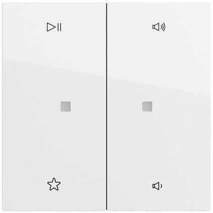 Gira Bedienelement 2-fach reinweiß glänzend 538470