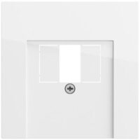 Gira Zentralplatte USB/TAE 1-fach reinweiß glänzend 027670 Schraubbefestigung