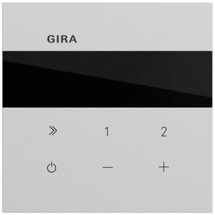 Gira Gira UP-Radio grau lackiert 232076 Basis+zentr Abdeckpl