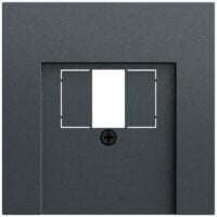 Gira Zentralplatte USB 1-fach anthrazit 037673 Schraubbefestigung