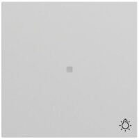 Gira Kontrollwippe Schalter grau lackiert 367476 Licht