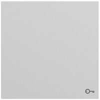 Gira Wippe Schalter grau lackiert Schl/Tür 328776
