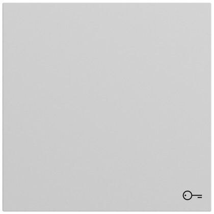 Gira Gira Wippe Schalter grau lackiert Schl/Tür 328776