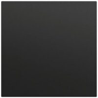 Gira Wippe Schalter schwarz lackiert 349674