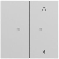 Gira Bedienelement 2-fach grau für Jalousieeins 538176