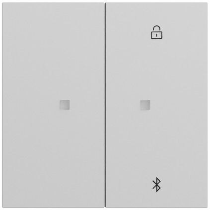 Gira Bedienelement 2-fach grau für Jalousieeins 538176