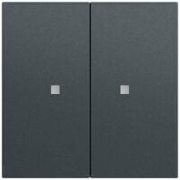 Gira Tastwippe Bussystem KNX-RF (Funk) 510773 anthrazit glänzend Kunststoff Thermopl 2-fach