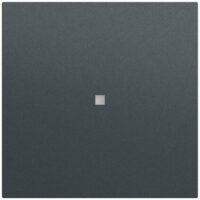 Gira Tastwippe KNX anthrazit glänzend Kunststoff Thermopl 517173 1-fach