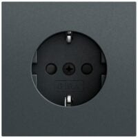 Gira Steckdose 1-fach anthrazit Unterputz mit BS IP20 475573