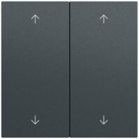Gira Wippe Serien Schalter anthrazit lackiert 538773 Pfeile