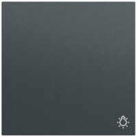 Gira Wippe Schalter anthrazit lackiert Licht 328573