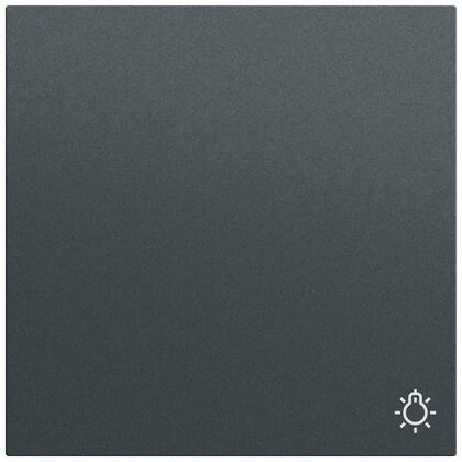 Gira Gira Wippe Schalter anthrazit lackiert Licht 328573