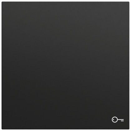 Gira Gira Wippe Schalter schwarz lackiert Schl/Tür 328774