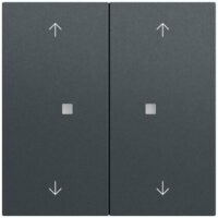 Gira Wippe Serien Schalter anthrazit lackiert 538673 Pfeile