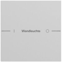 Gira Wippe 1-teilig Tastsensor grau lackiert 576176 individuellgraviert