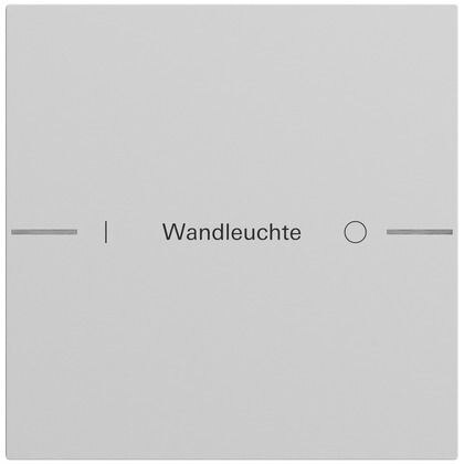 Gira Wippe 1-teilig Tastsensor grau lackiert 576176 individuellgraviert
