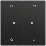 Gira Bedienelement 2-fach schwarz matt 538474