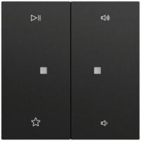 Gira Bedienelement 2-fach schwarz matt 538474