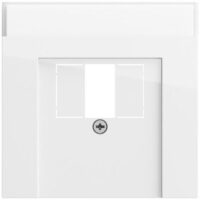 Gira Zentralplatte USB/TAE 1-fach reinweiß glänzend 087670 Schraubbefestigung mit Beschriftungs Feld
