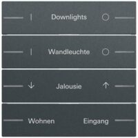 Gira Taste_4t Tastsensor anthrazit lackiert 576473 individuellgraviert