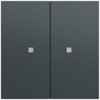Gira Tastwippe KNX anthrazit glänzend Kunststoff Thermopl 517373 2-fach