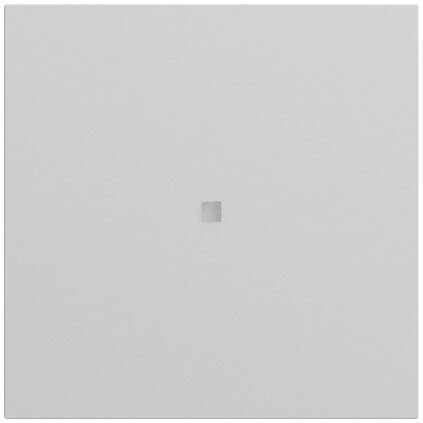 Gira Gira Kontrollwippe Schalter grau lackiert 537176