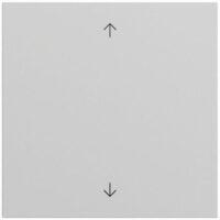 Gira Wippe Schalter grau lackiert Pfeile 538976